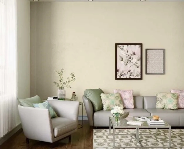 Asian Apex Ultima Protek Duralife Paint 3