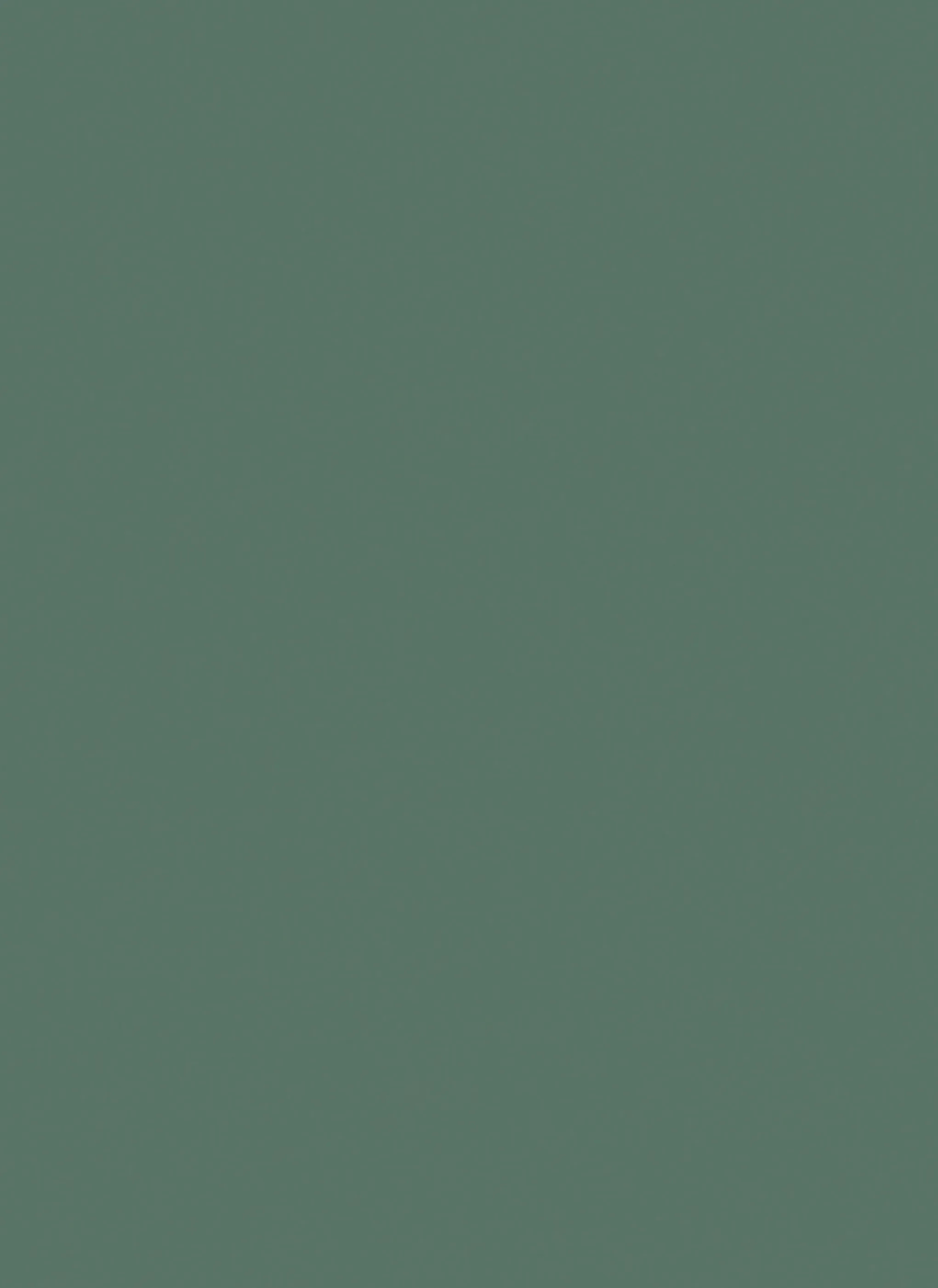Century Laminates Grass Green 80279 Laminate by CenturyPly for Wall Panelling, Table, Furniture : Colours available: Green