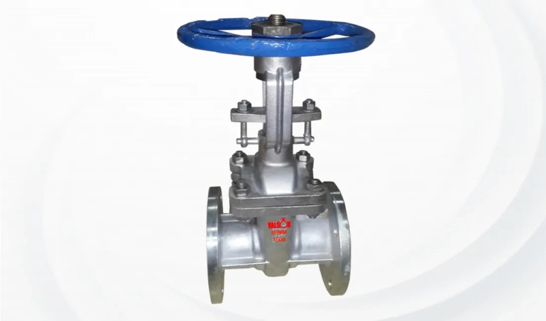 Valson S/Steel Gate Valve Flanged Asa 150# (Investment Castings) by Valson : Colours available: Silver
