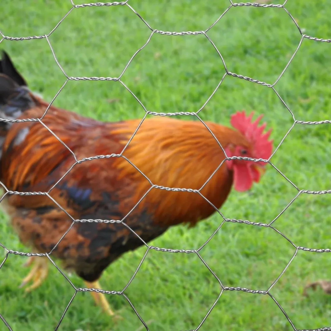 Justfence Poultry Mesh Fence by Justfence : Colours available: Silver 2 2