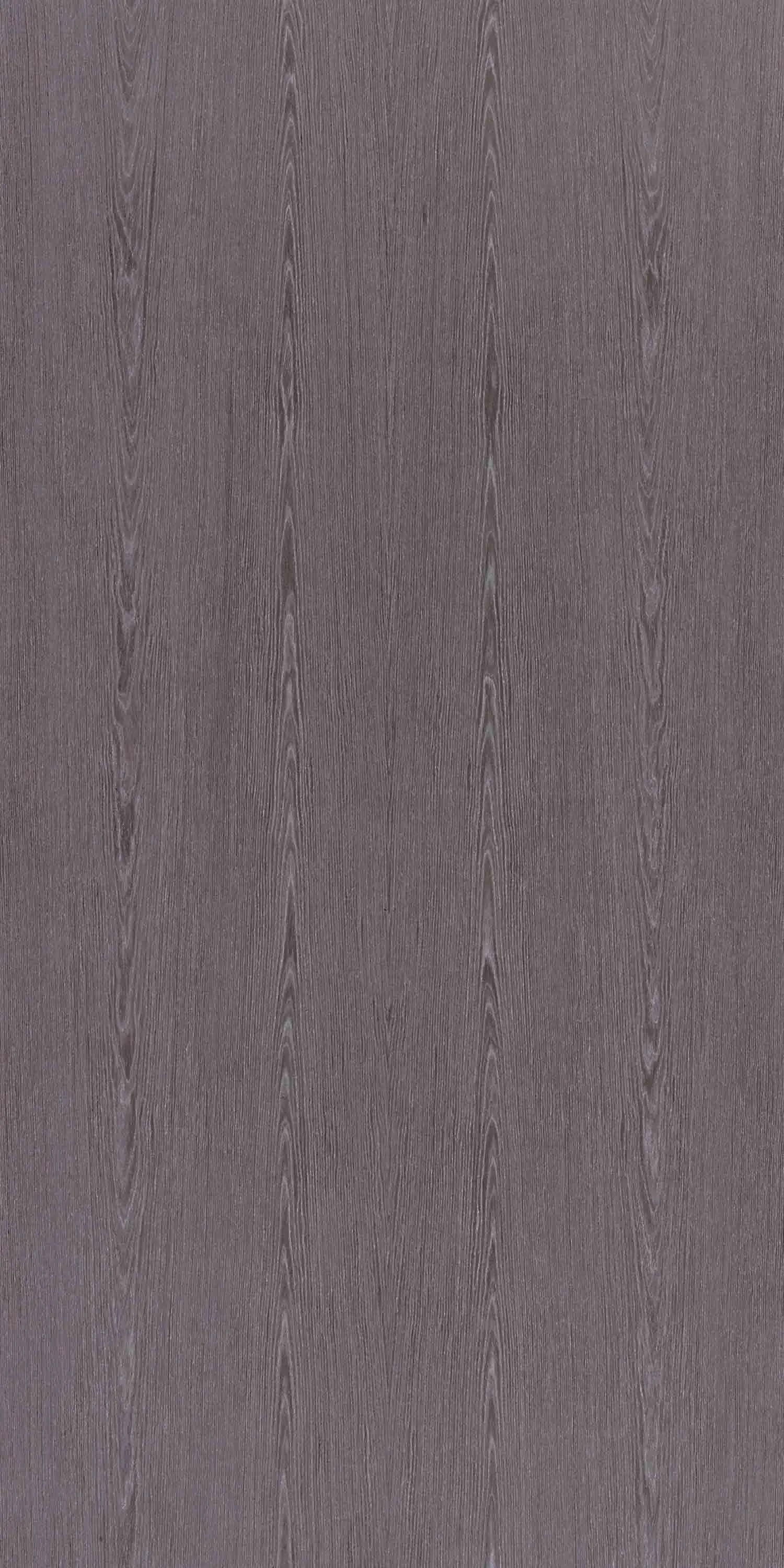 Century Ply Steel Grey Crown F877 by CenturyPly : Colours available: Grey