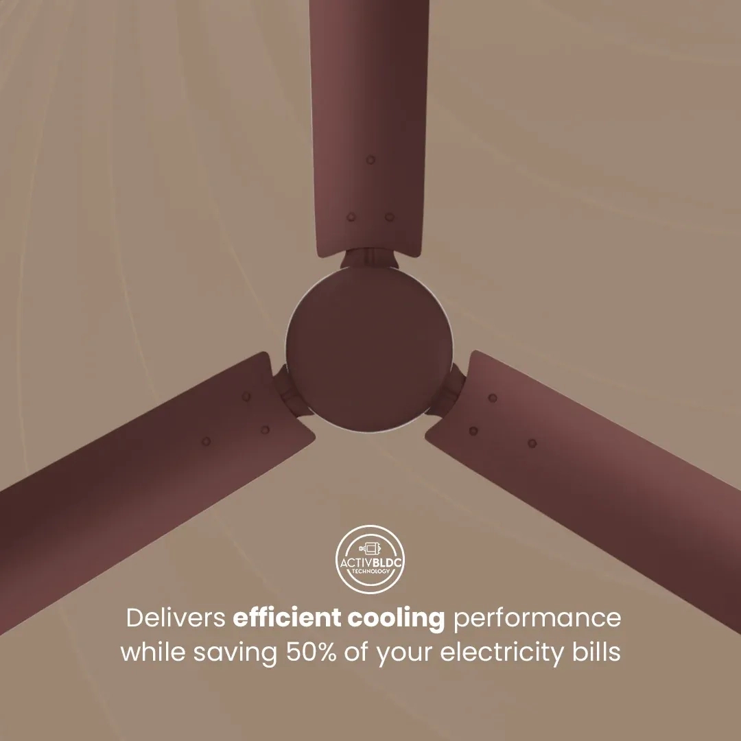 Crompton Energion Hyperjet BLDC Ceiling Fan - Brown by Crompton : Colours available: Brown 14 3