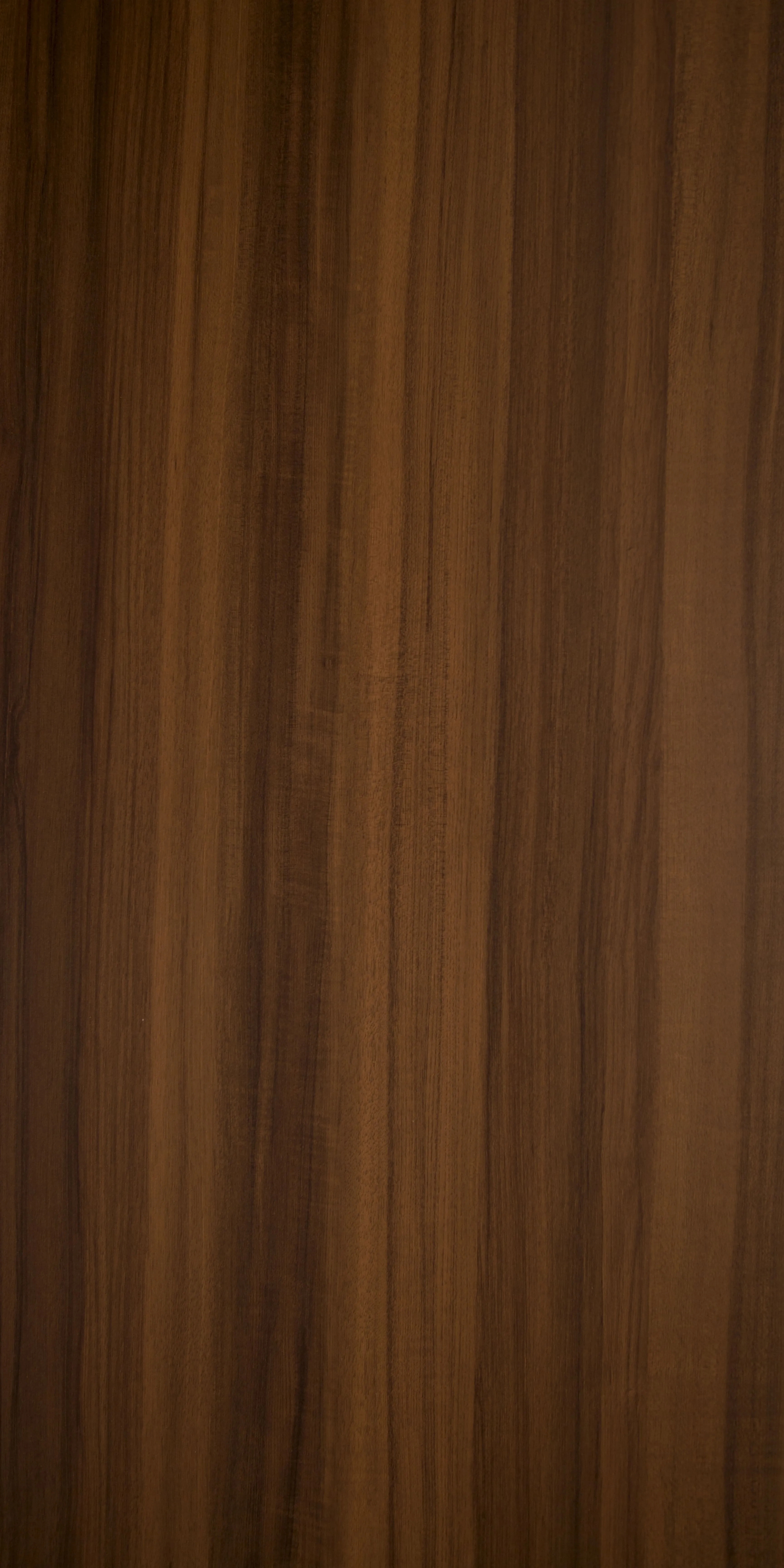 RN-CF 79 Laminate by Royale Touche for Multipurpose : Colours available: Brown 1 1