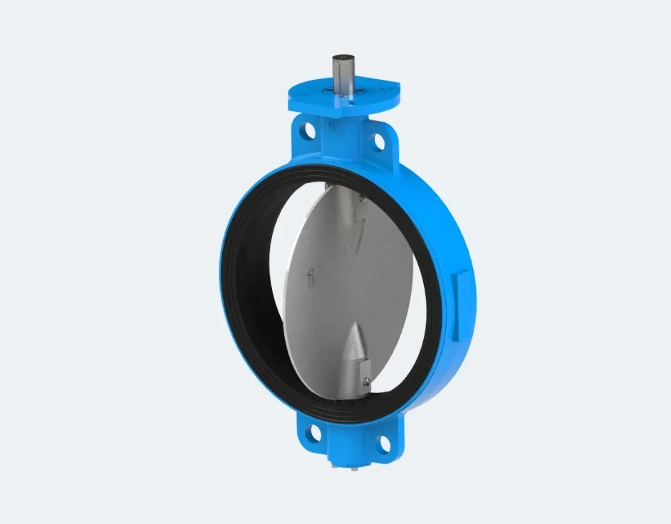 Concentric Butterfly Valve IVGK-IVTL by Intervalve Poonawalla : Colours available: DeepSkyBlue 1 1