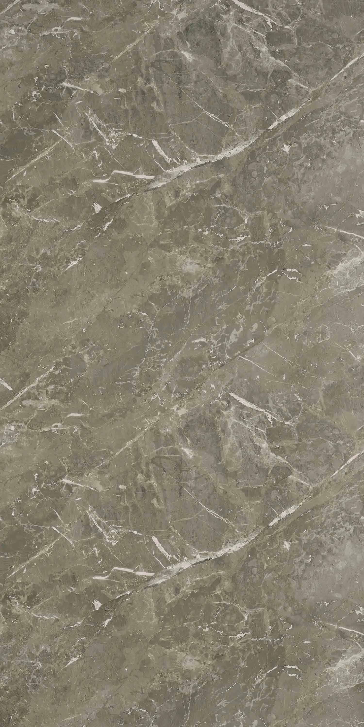 Century Ply Dolomiti 5885 SL by CenturyPly : Colours available: BlackChrome