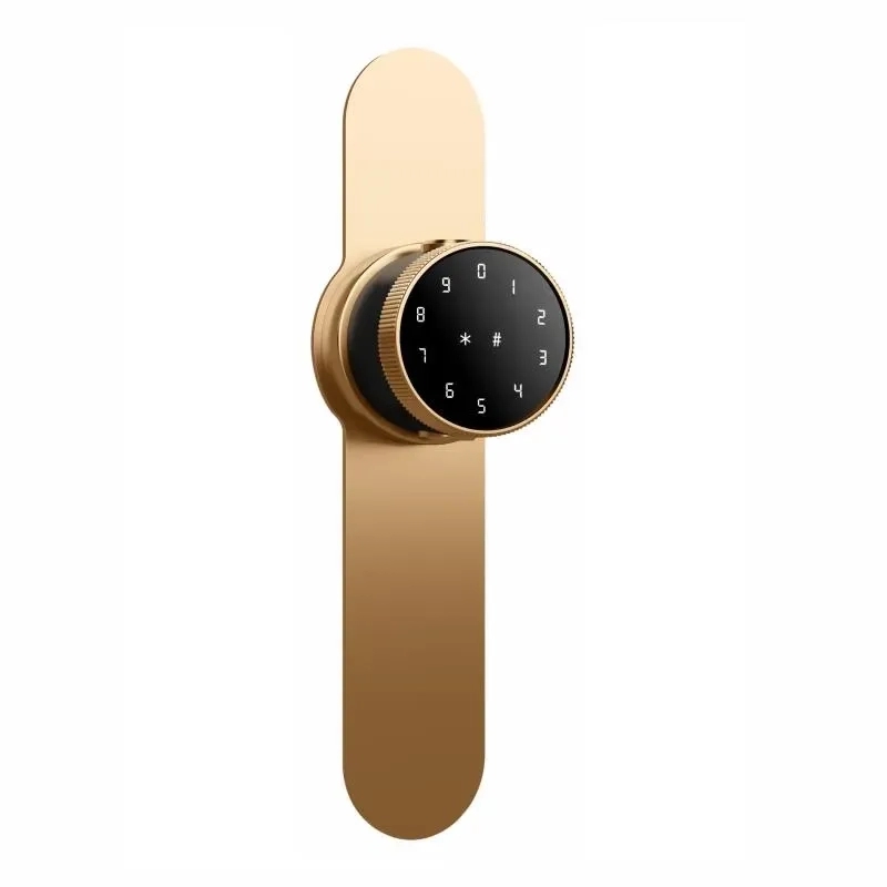 Ozone Smart Bluetooth Internal Lock with Lock Plate for Wooden & Metal Doors by Ozone for Bedroom, Office : Colours available: AntiqueBronze