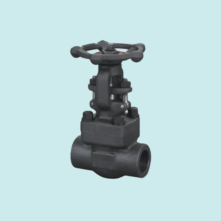 Stanvalves Forged Steel Gate Valve - Screwed End by Stanvalves : Colours available: Black