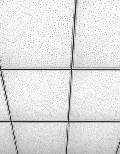 Aerolite Spectra T24 Acoustic Ceiling Tile by Aerolite : Colours available: White