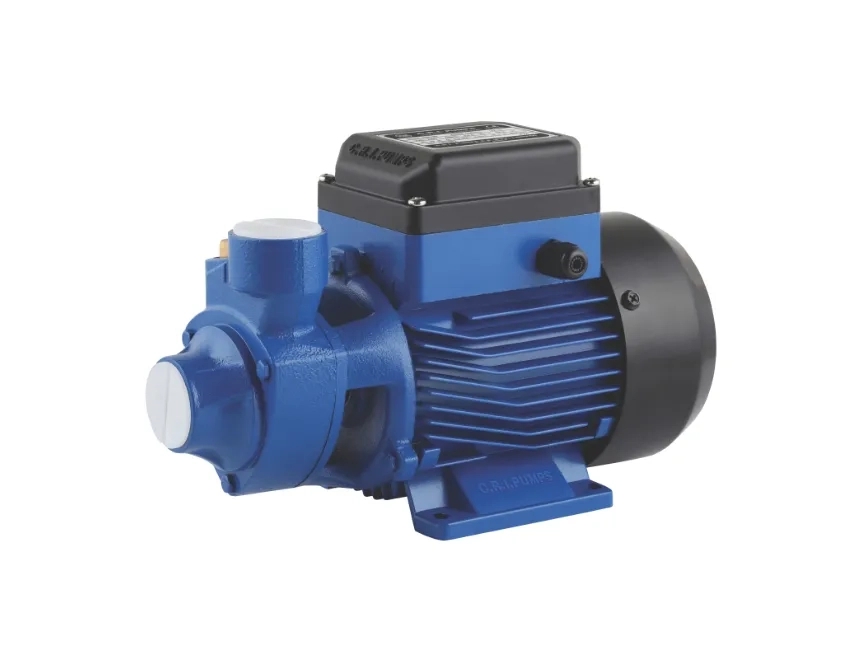 CRI Fluid Peripheral Pumps by C.R.I Fluid Systems for Multipurpose : Colours available: Blue