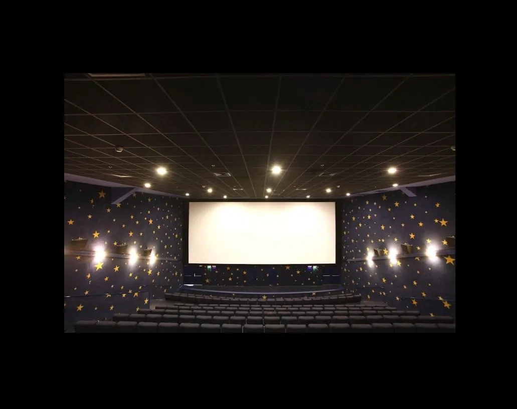 Acoustic Grid Ceiling Tiles - Nankarrow Black Out TM 2Ft x 2Ft Cinema by Nankarrow : Colours available: Black 5 5
