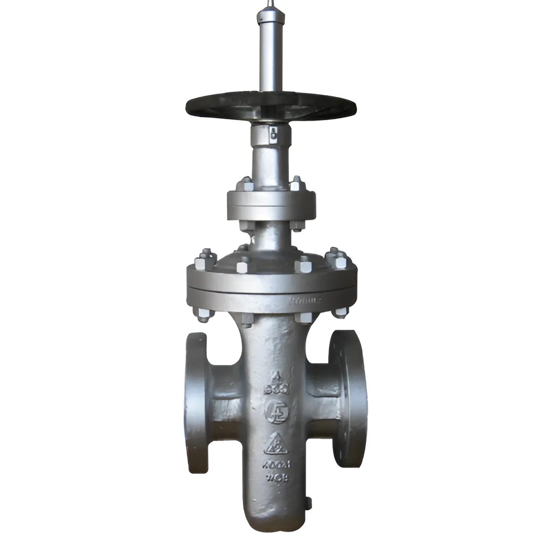 Flowchem Industries Cast Steel API 6D Gate Valve by Flowchem : Colours available: Chrome