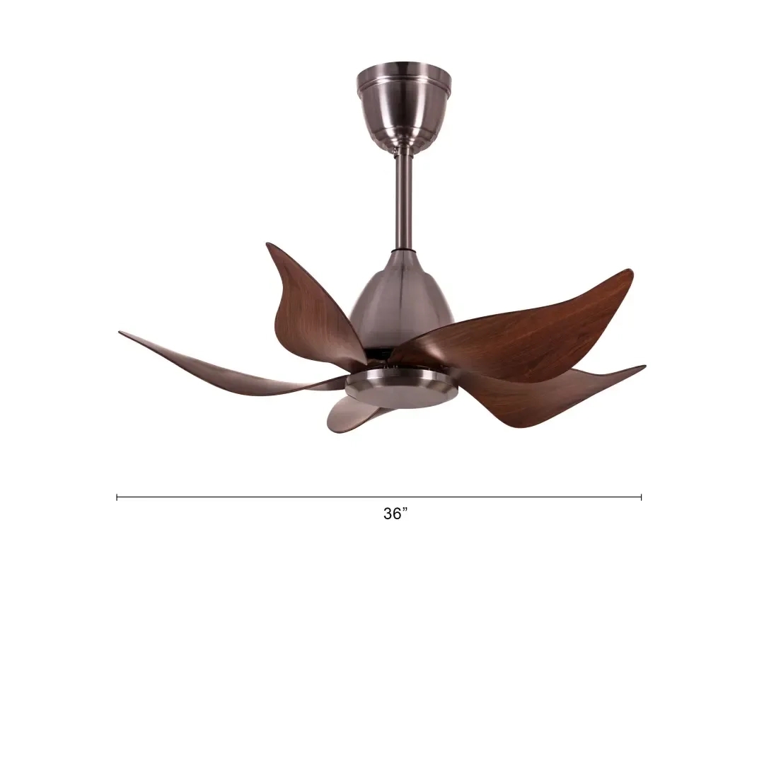 The WhiteTeak Piccadilly Circus (91 cm Span, Chrome Finish Metal Body, Walnut Finish ABS Blades) Ceiling Fan by White Teak : Colours available: Brown 7 8