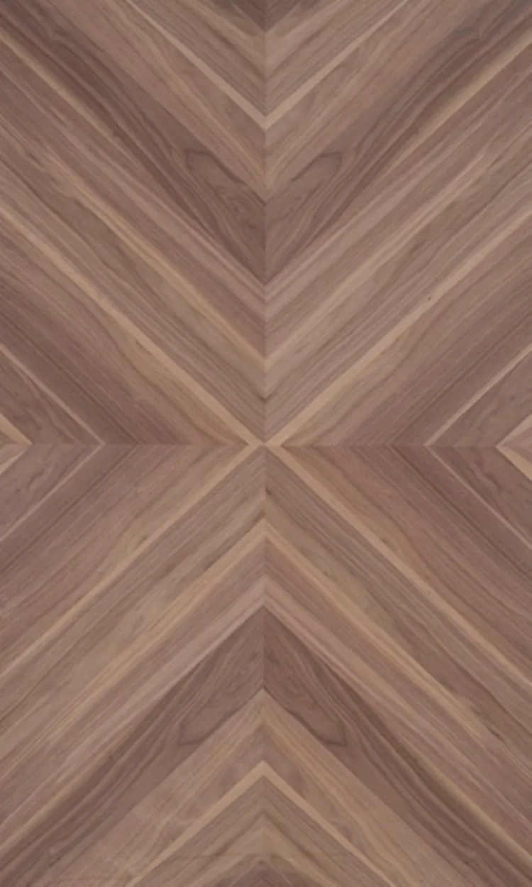 Century Ply Walnut Grove NV-E75 by CenturyPly : Colours available: Brown