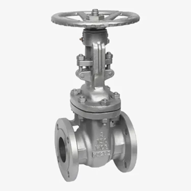 Payal Engineering Gate Valves by Payal Engineering : Colours available: Silver 2 2