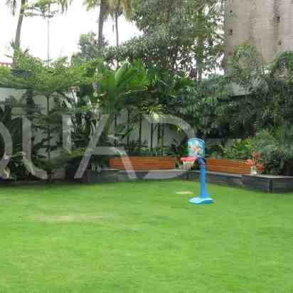 Backyard in Rizwan Residence