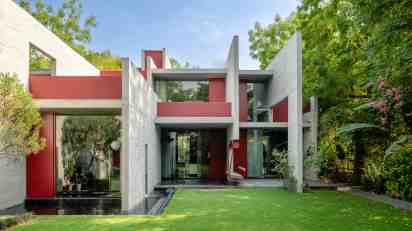 Backyard in Trees Sliced Through Residence