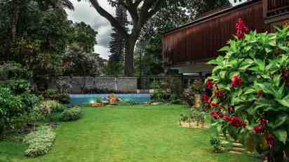 Backyard in Shantiniketan House