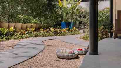 Backyard in Mad Apartment
