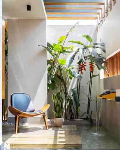Courtyard in The Blooming Haus House