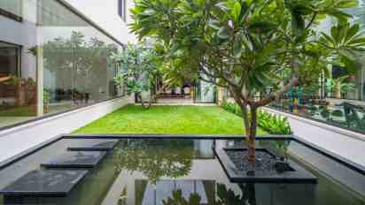 Backyard in Sibha House