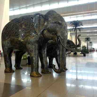 Airport Interior of Indira Gandhi International Airport Terminal- 3 video thumbnail