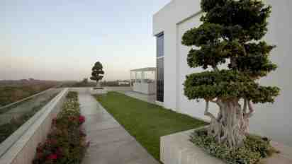 Terrace Garden in CM Ramesh Villa