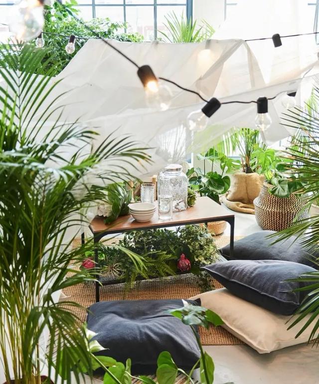 Ikea Dypsis Lutescens Potted Plant Areca Palm 19 Cm 2