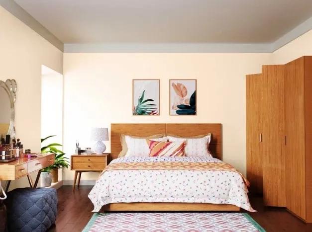 Asian Apex Ultima Protek Duralife Paint 2