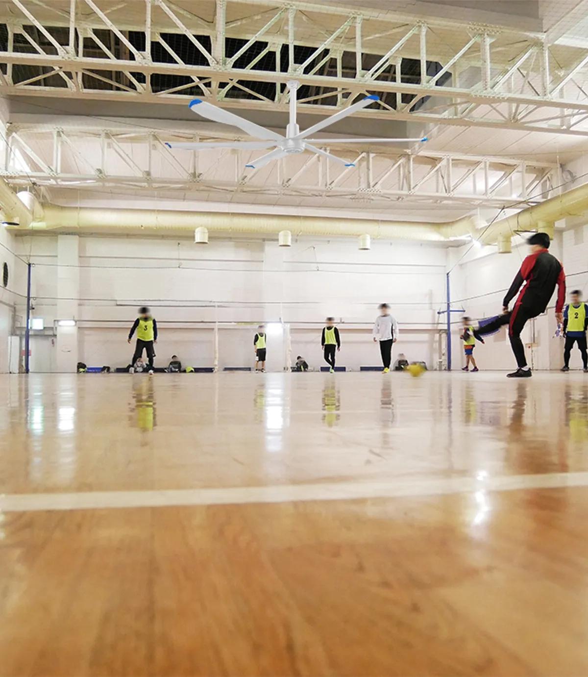 Marut Air HVLS Fans For Indoor Sports