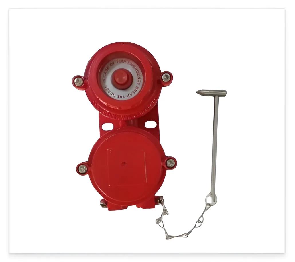 Palladium Manual Call Points Flameproof