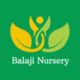 Balaji Nursery's logo