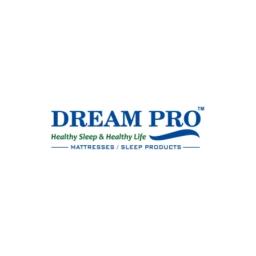 Dream Pro's logo