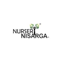 Nursery Nisarga's logo