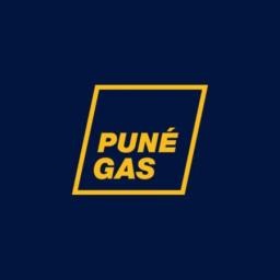 Pune Gas's logo