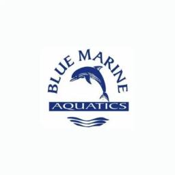Blue Marine's logo