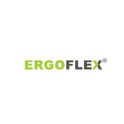 Ergoflex's logo