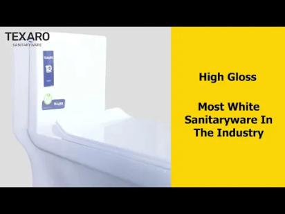 Texaro Portico Floor Mounted Water Closet video thumbnail