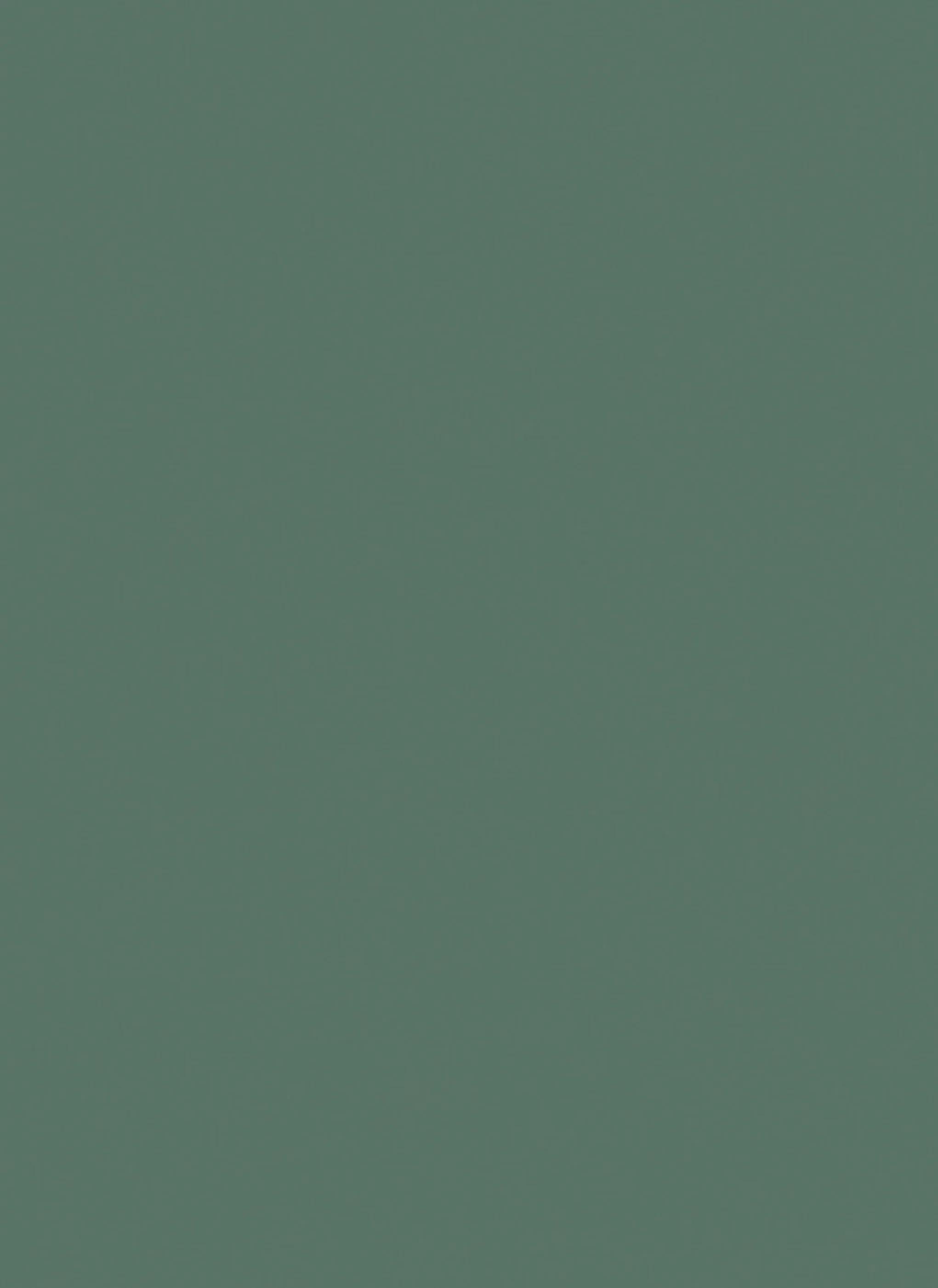 Century Laminates Grass Green 80279 Laminate