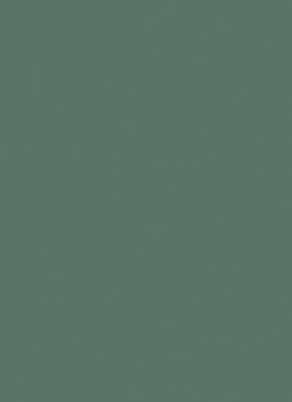 Century Laminates Grass Green 80279 Laminate by CenturyPly for Wall Panelling, Table, Furniture : Colours available: Green