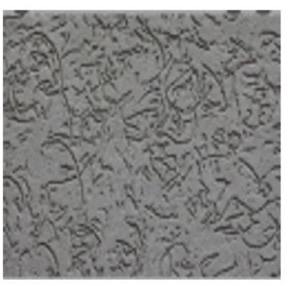 Nippon Maxx Inditex 3K Scratch Finish Textures by Nippon Paint 4 3