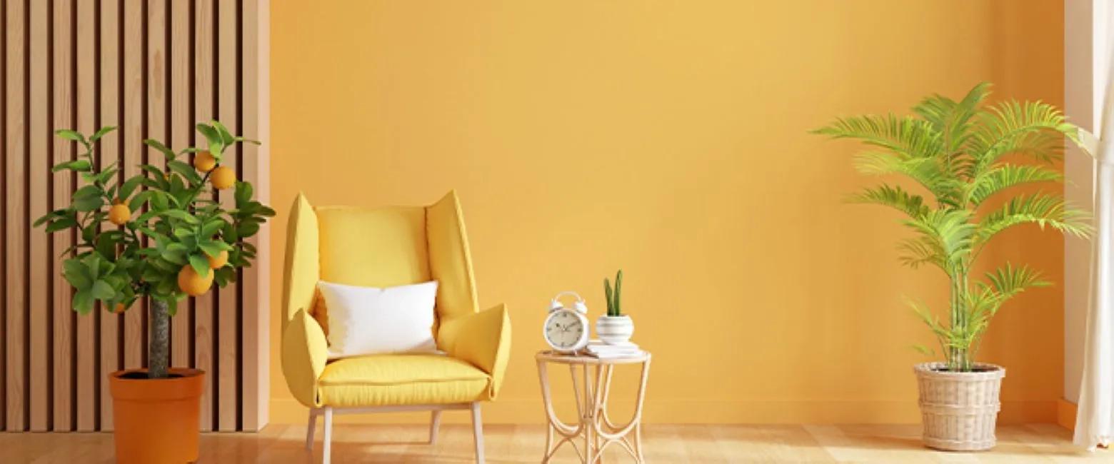 Snowcem Zenita Ultimate Luxury Emulsion 1