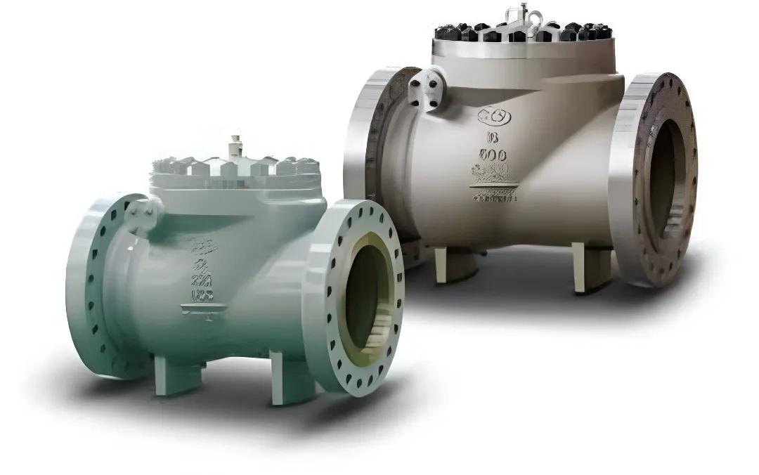 Flowjet Swing Check Valve
