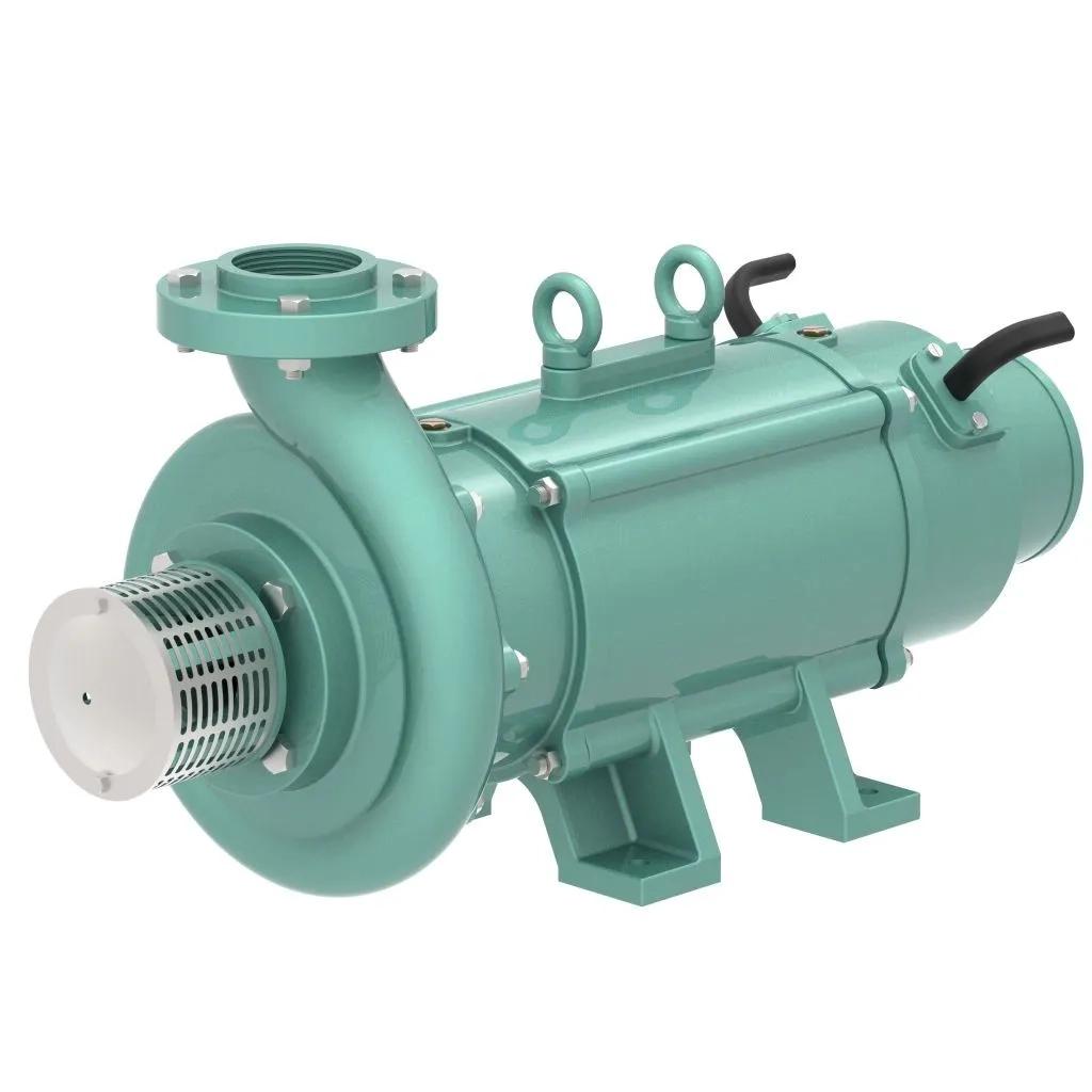 Lubi Horizontal Openwell Submersible Pumpsets -LHS Series