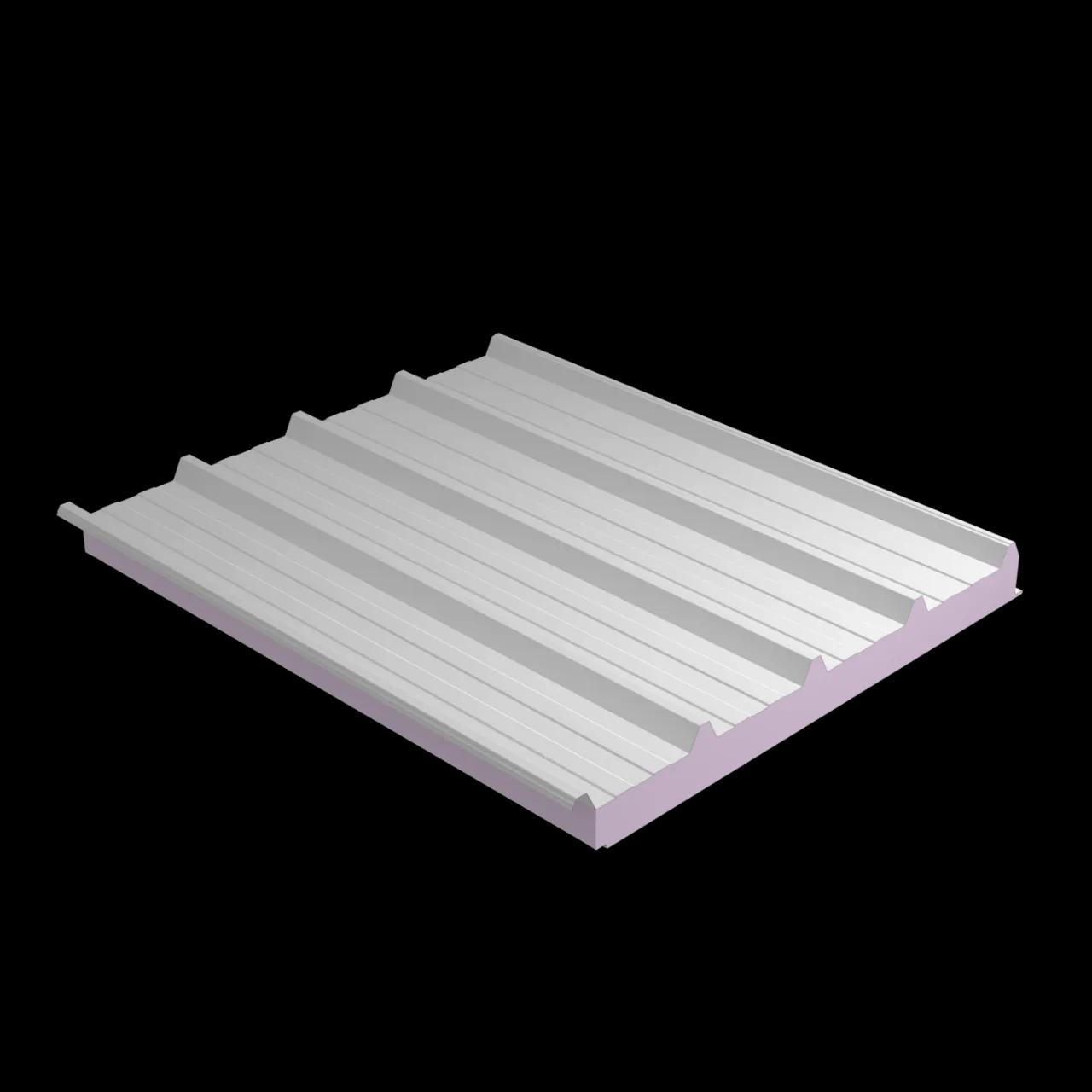 Kingspan jindal IPN STRUPAN RW Roof Panel