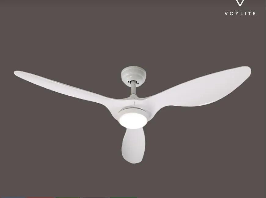 VoyAvant Fan 11