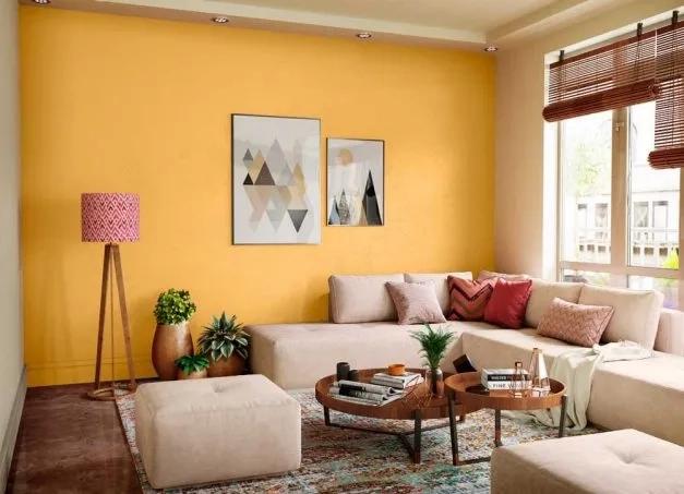 Asian Paints Apcolite Premium Emulsion 4