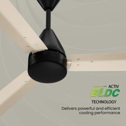 Crompton Energion Cookie BLDC Ceiling Fan -  Ivory Black by Crompton : Colours available: Black, Ivory 13 5