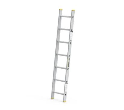 Youngman Y-Access Aluminum Wall Support Straight Ladder 8141 by Y Equipment Services : Colours available: Chrome 6 4