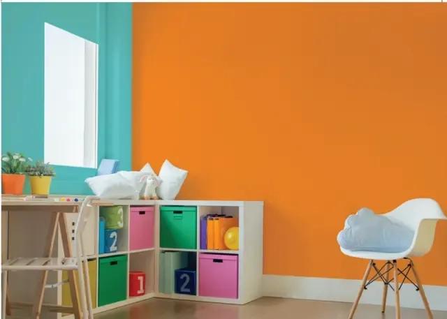 Berger Rangoli Total Care Paint 3