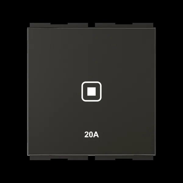 GM Modular 20A Switch - 2 Module I-Fi AA 2 524 - Graphite Magnesia